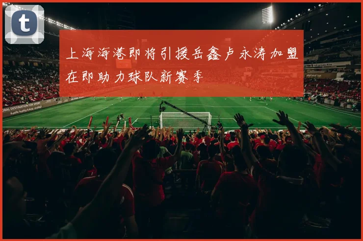 上海海港即将引援岳鑫卢永涛加盟在即助力球队新赛季