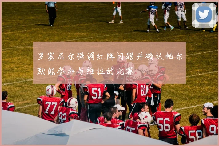 罗塞尼尔强调红牌问题并确认帕尔默能参加与维拉的比赛