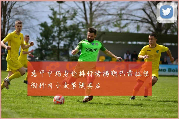 意甲中场身价排行榜揭晓巴雷拉领衔科内小麦紧随其后